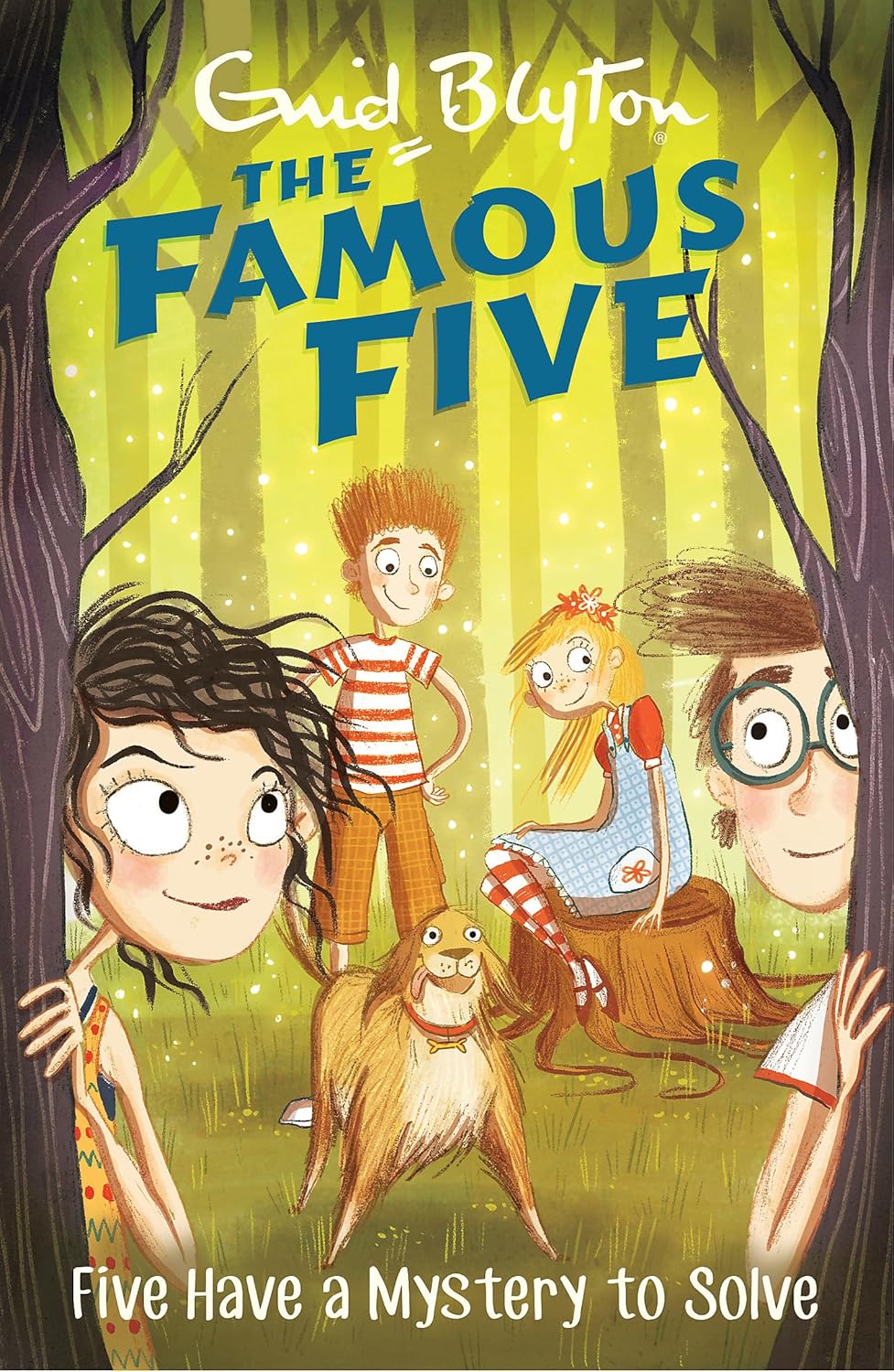 Famous Five 20: Five Have A Mystery To Solve