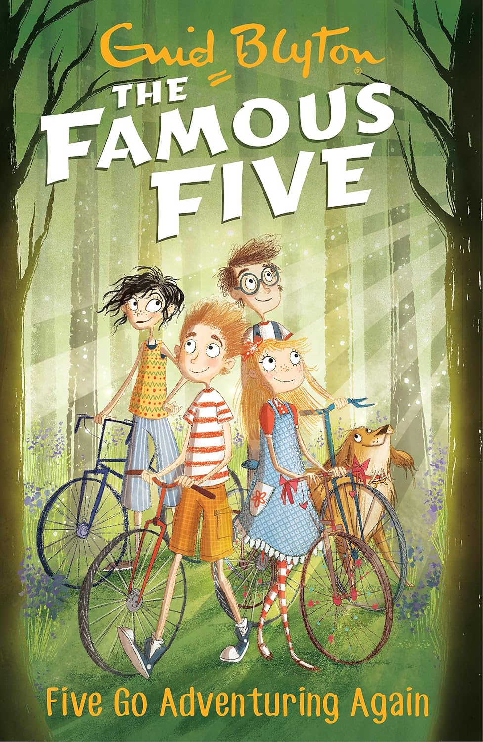 Famous Five 2: Five Go Adventuring Again